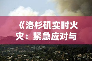 《洛杉矶实时火灾：紧急应对与社区动员纪实》