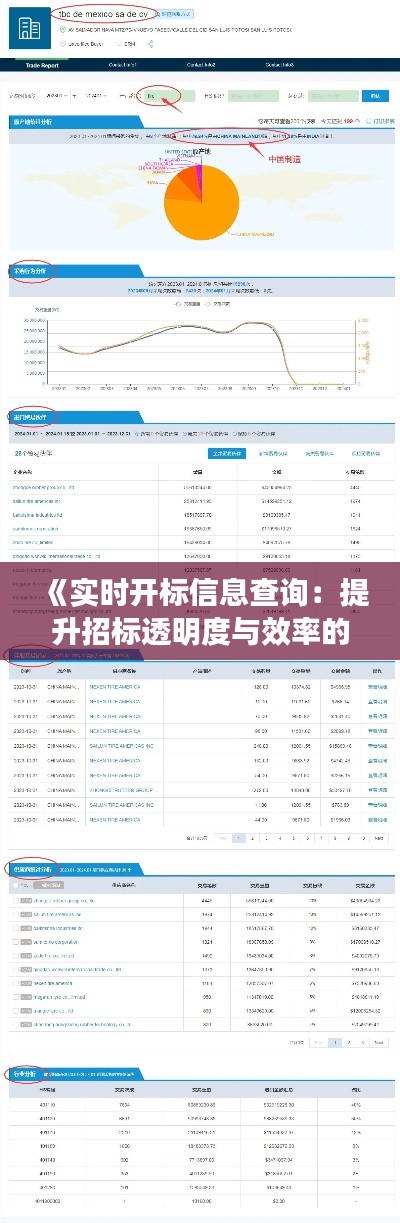《实时开标信息查询：提升招标透明度与效率的关键》