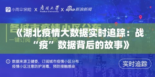 《湖北疫情大数据实时追踪：战“疫”数据背后的故事》