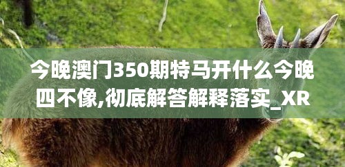今晚澳门350期特马开什么今晚四不像,彻底解答解释落实_XR9.506