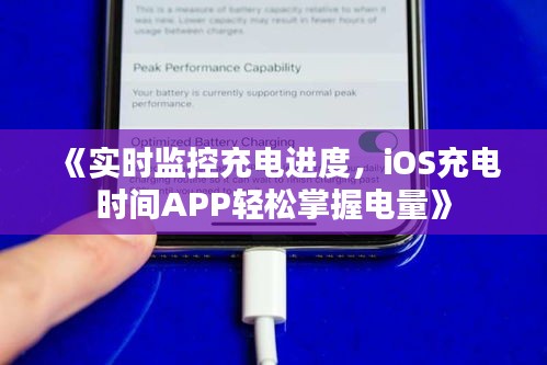张飞穿针 第4页