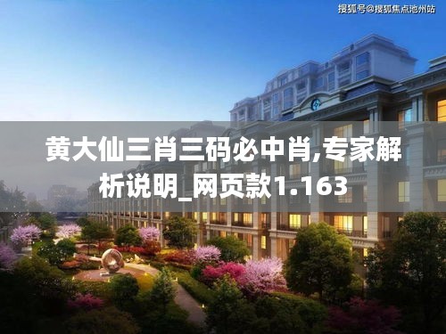 黄大仙三肖三码必中肖,专家解析说明_网页款1.163