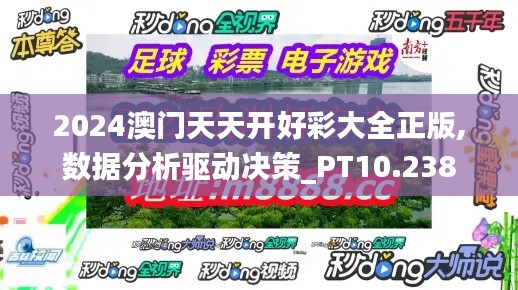 2024澳门天天开好彩大全正版,数据分析驱动决策_PT10.238