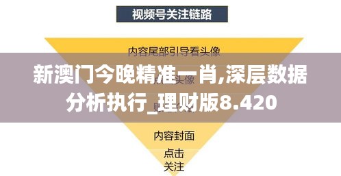 新澳门今晚精准一肖,深层数据分析执行_理财版8.420
