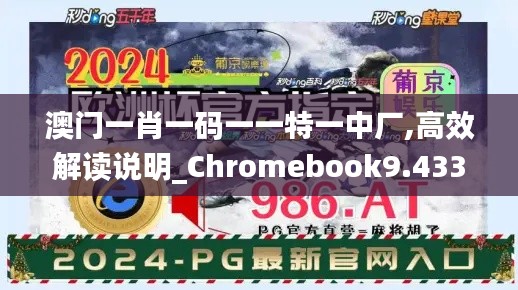 澳门一肖一码一一特一中厂,高效解读说明_Chromebook9.433