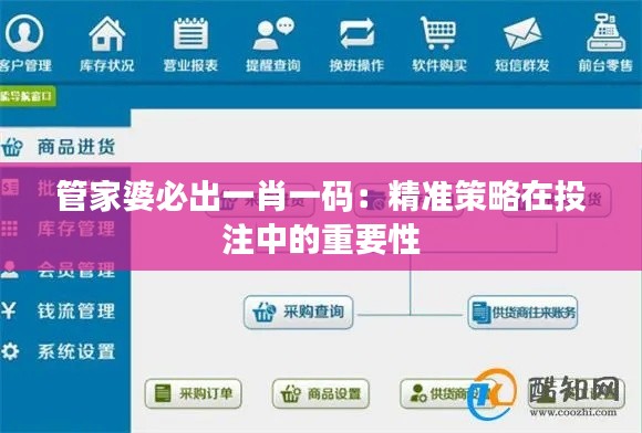 管家婆必出一肖一码：精准策略在投注中的重要性