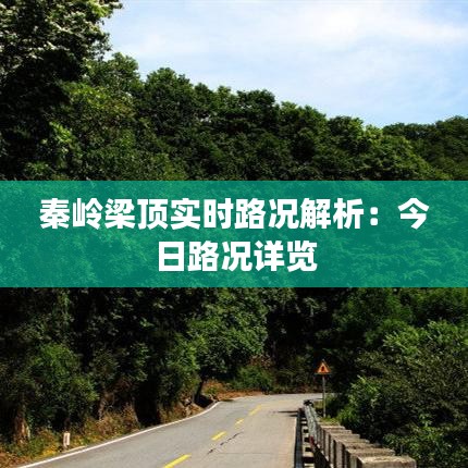 秦岭梁顶实时路况解析：今日路况详览