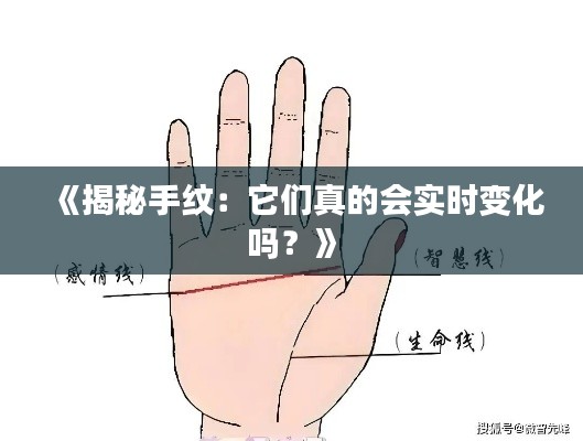 发硎新试 第4页
