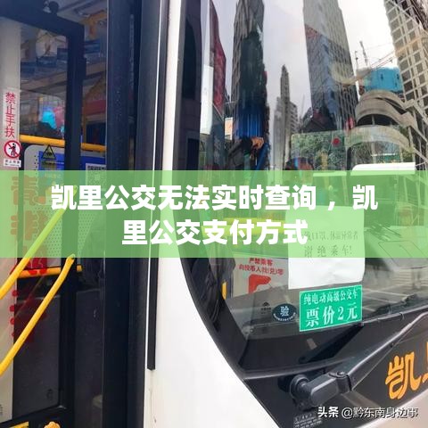 凯里公交无法实时查询 ，凯里公交支付方式