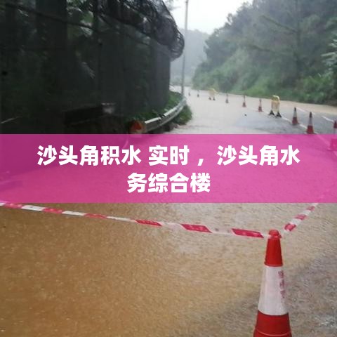 沙头角积水 实时 ，沙头角水务综合楼