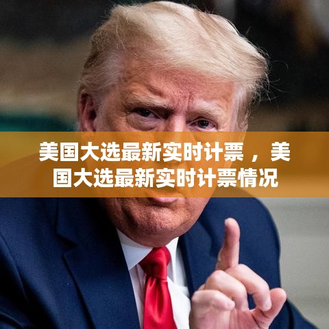 虫蚀鸟步 第4页