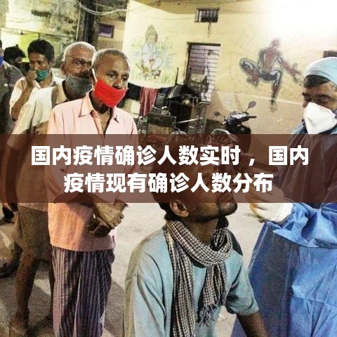 国内疫情确诊人数实时 ，国内疫情现有确诊人数分布