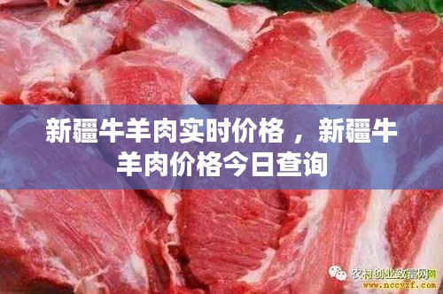 鬼张鬼智 第4页