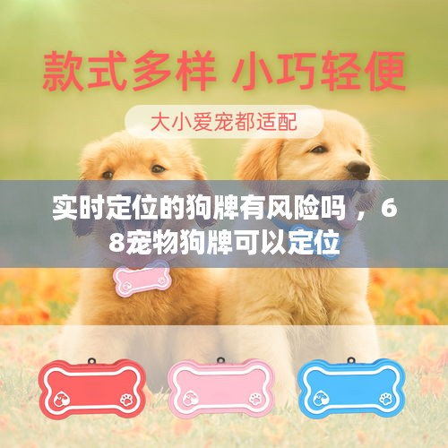 实时定位的狗牌有风险吗 ，68宠物狗牌可以定位