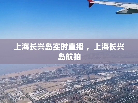 惊弓之鸟 第3页