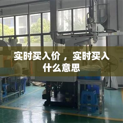 实时买入价 ，实时买入什么意思