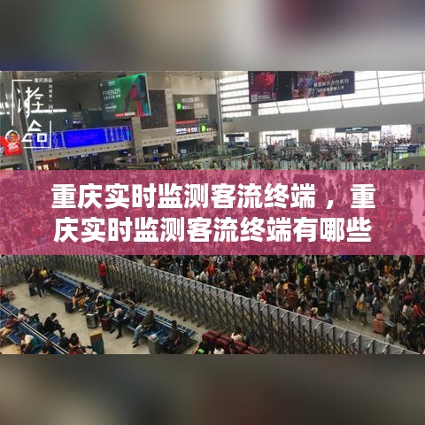 洵属可贵 第4页