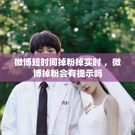 微博短时间掉粉掉实时 ，微博掉粉会有提示吗