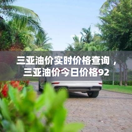 三亚油价实时价格查询 ，三亚油价今日价格92