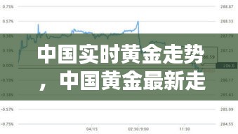 中国实时黄金走势 ，中国黄金最新走势