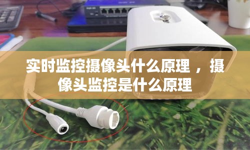 怨天怨地 第3页