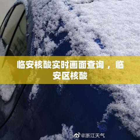 临安核酸实时画面查询 ，临安区核酸