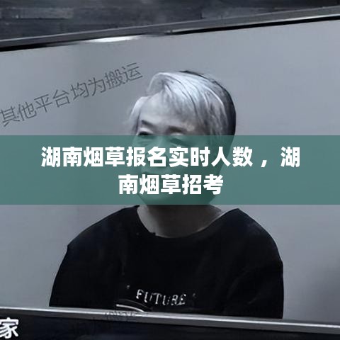 湖南烟草报名实时人数 ，湖南烟草招考