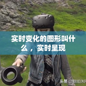 乌鸟私情 第3页