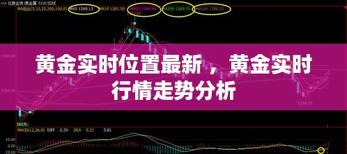 黄金实时位置最新 ，黄金实时行情走势分析