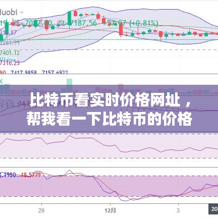 比特币看实时价格网址 ，帮我看一下比特币的价格
