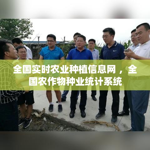 全国实时农业种植信息网 ，全国农作物种业统计系统