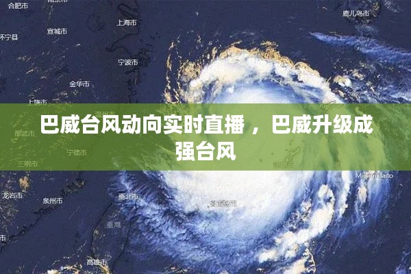 天各一方 第3页
