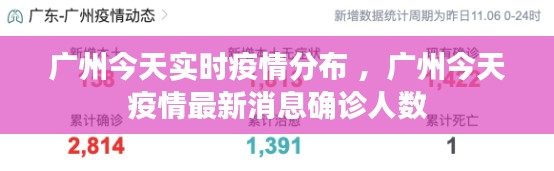 广州今天实时疫情分布 ，广州今天疫情最新消息确诊人数