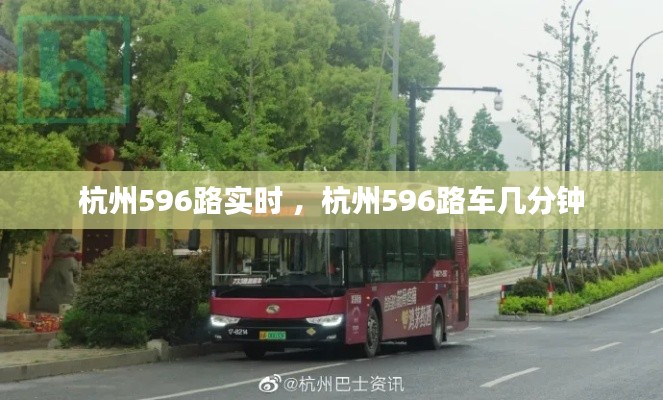 沉灶产蛙 第3页