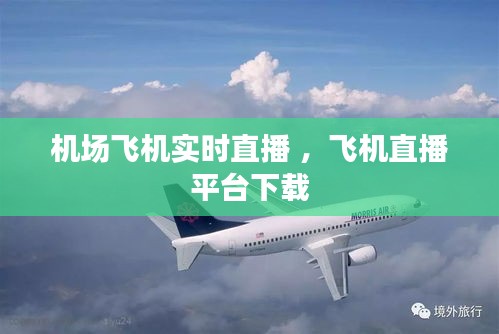 机场飞机实时直播 ，飞机直播平台下载