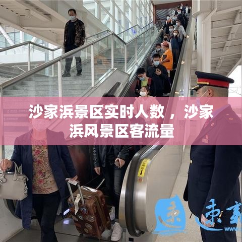 沙家浜景区实时人数 ，沙家浜风景区客流量