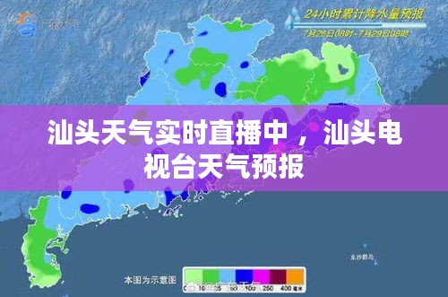 轻飞曼舞 第2页