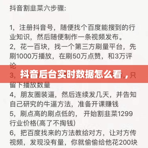 雍容华贵 第2页