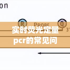 实时荧光定量pcr的常见问题 ，实时荧光定量pcr原理及应用