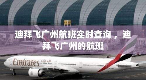 迪拜飞广州航班实时查询 ，迪拜飞广州的航班