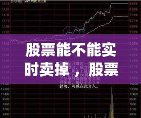 股票能不能实时卖掉 ，股票能时时卖出吗
