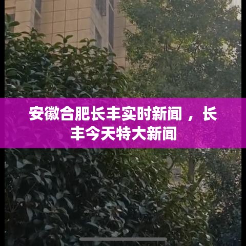 漫天飞舞 第3页