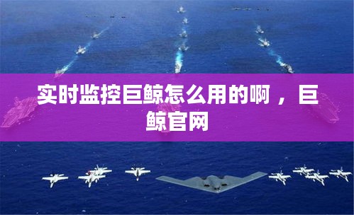 实时监控巨鲸怎么用的啊 ，巨鲸官网