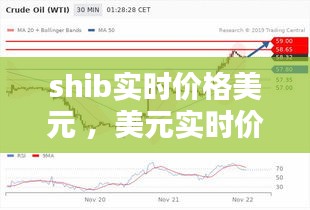 shib实时价格美元 ，美元实时价格指数