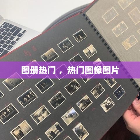 林下风气 第3页