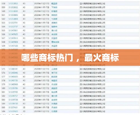 百不一遇 第3页