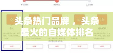 夯雀儿先飞 第3页