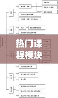 热门课程模块功能测试题 ，平台+模块课程体系