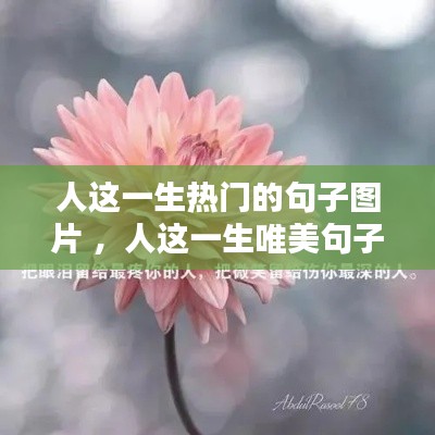 不畏权贵 第3页