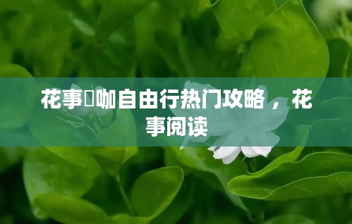花事囍咖自由行热门攻略 ，花事阅读